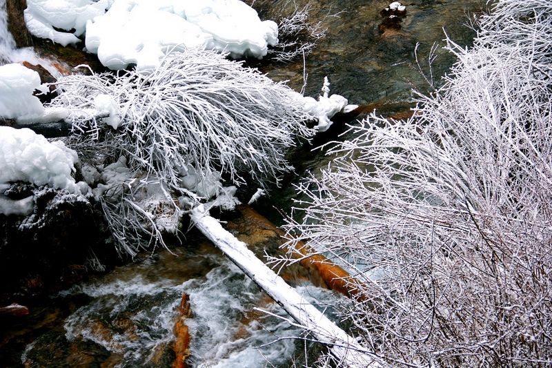 _mg_6794.jpg