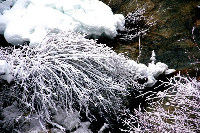 _mg_6800.jpg