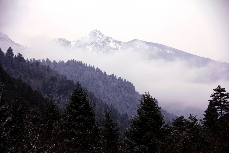 _mg_6820.jpg