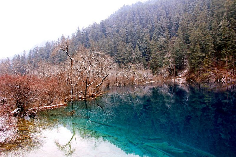 _mg_6836.jpg
