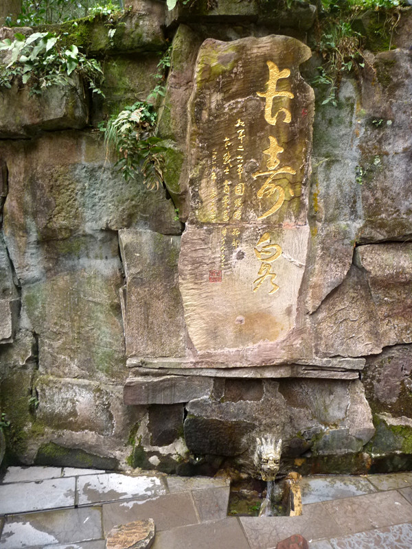 p1140320_.jpg