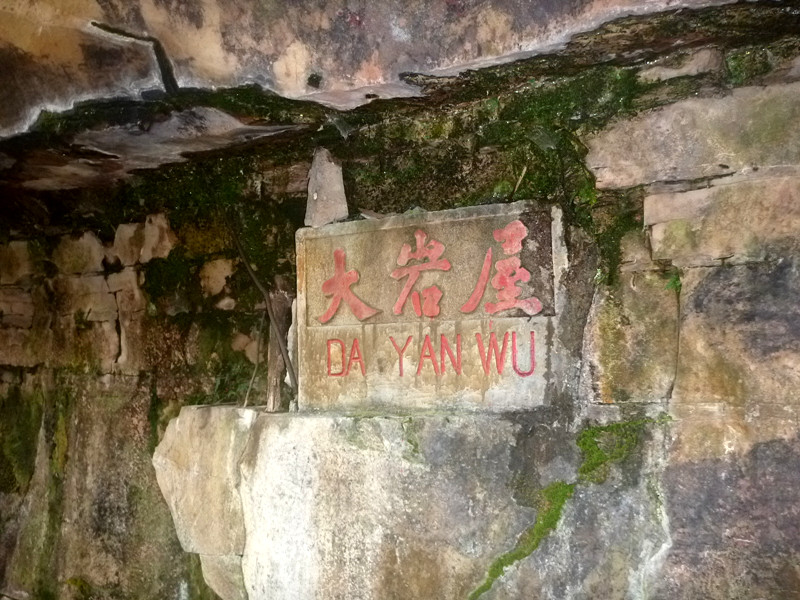 p1140300_.jpg