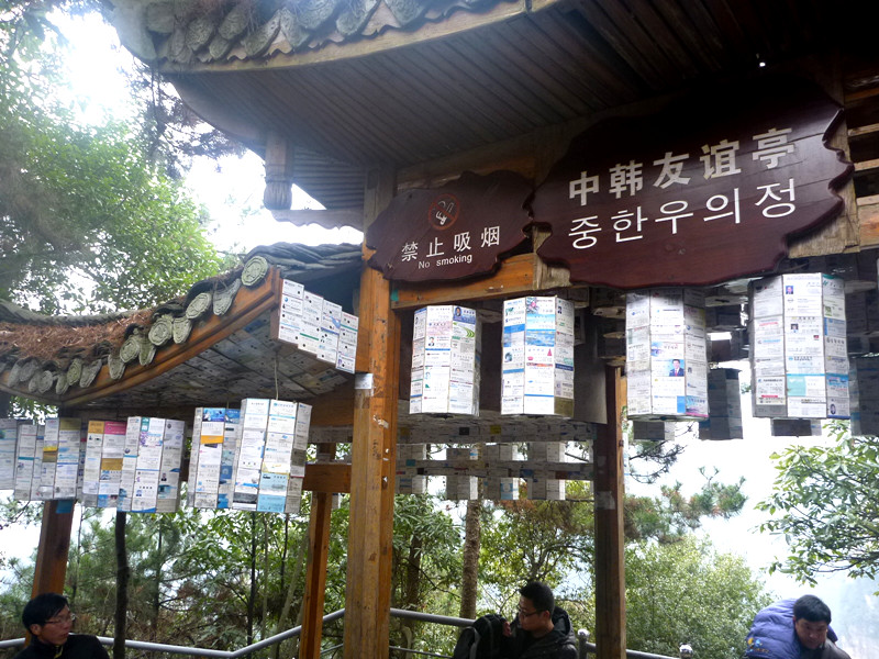 p1140353_.jpg