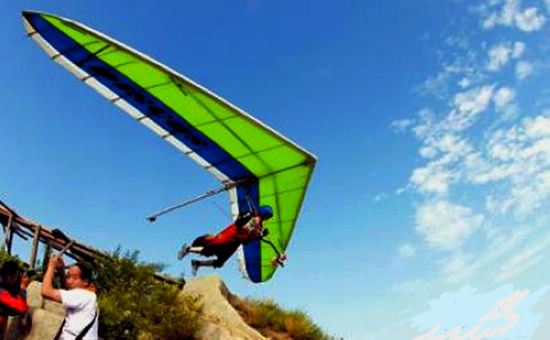 101129sk3ey3lnp3nppdg3-flying3.jpg