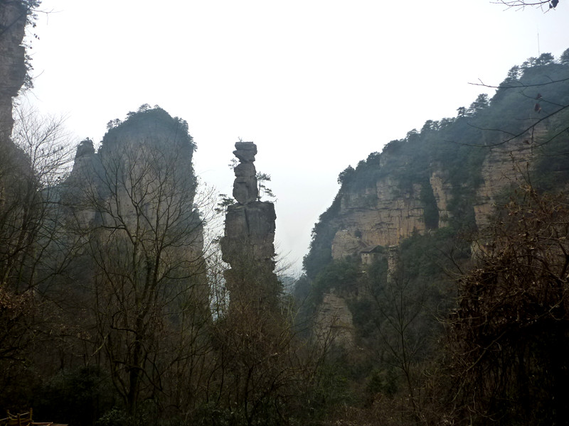 p1140374_.jpg