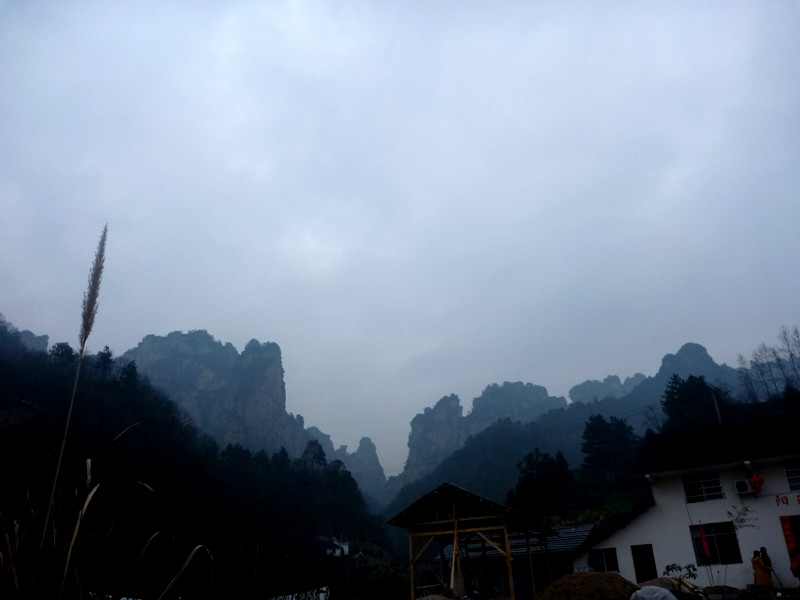 p1140380_.jpg
