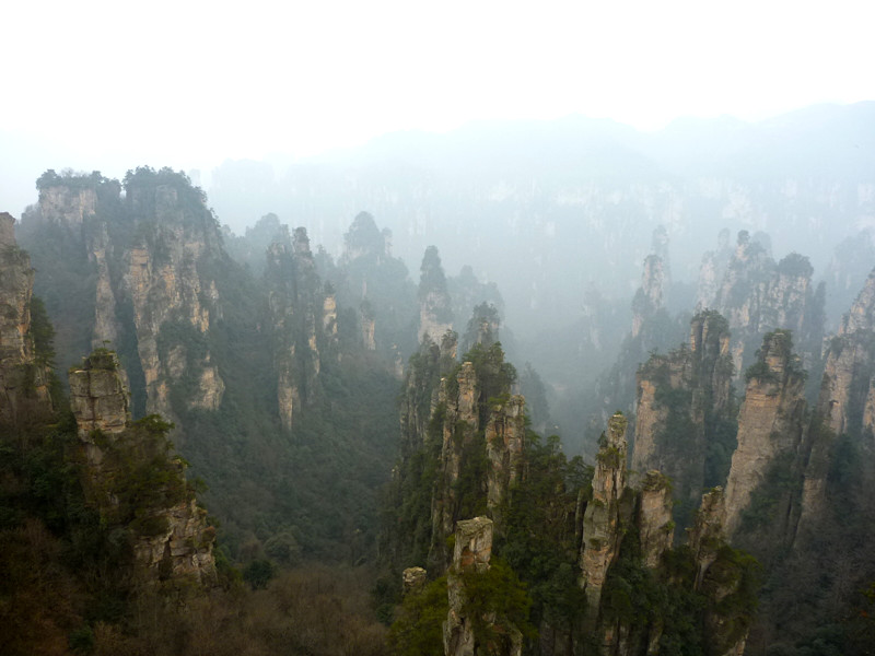 p1140382_.jpg