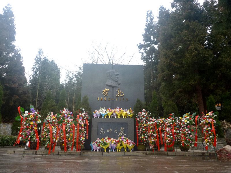 p1140395_.jpg