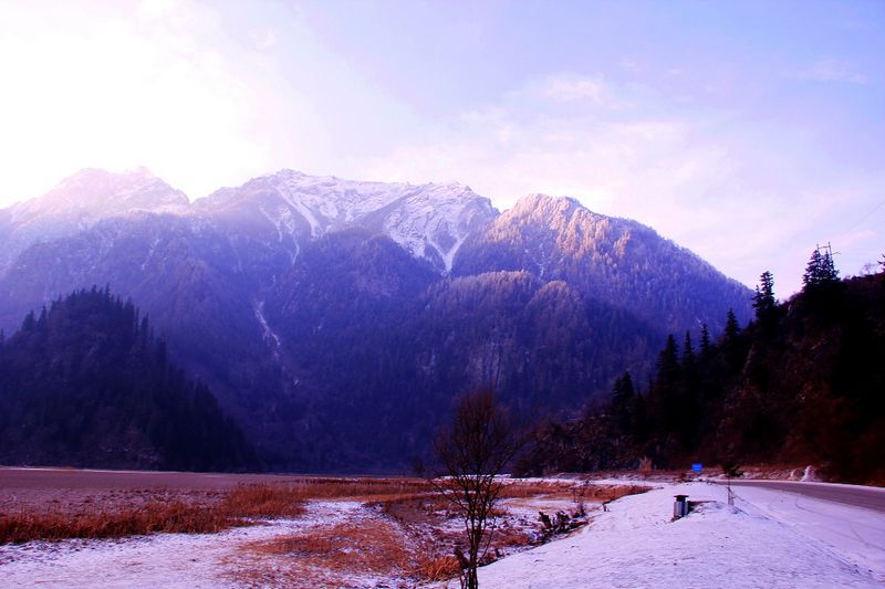 _mg_7010.jpg
