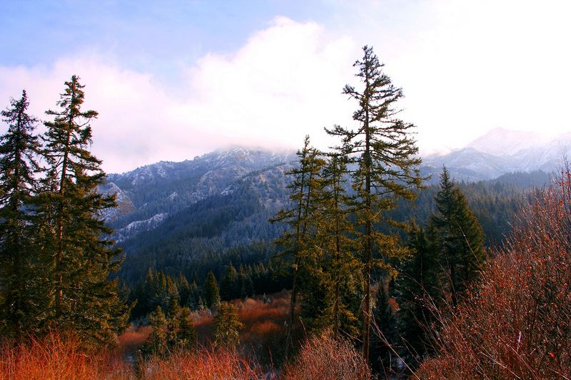 _mg_7065.jpg