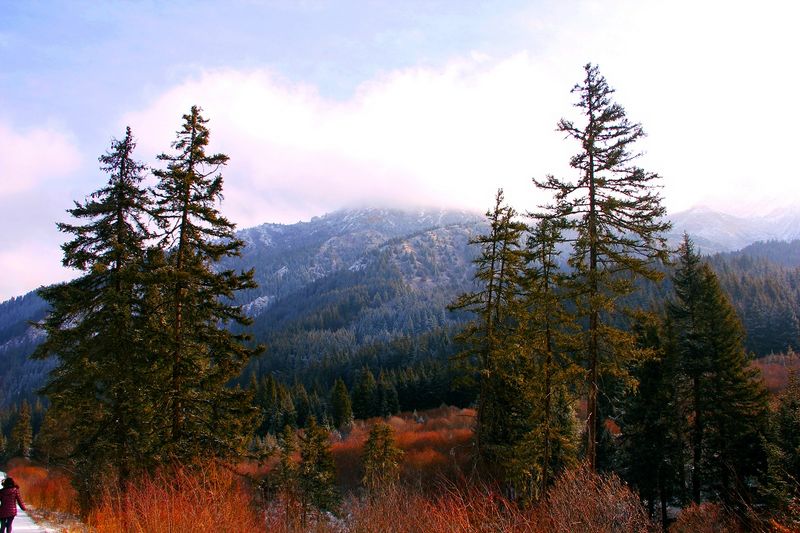 _mg_7071.jpg