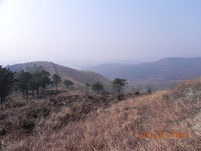 dscn3521.jpg