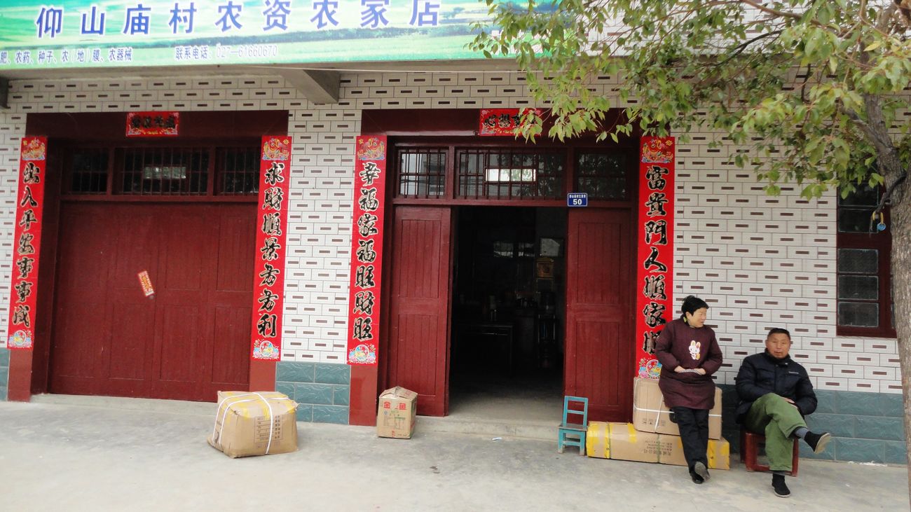 neo_img_dsc01632.jpg