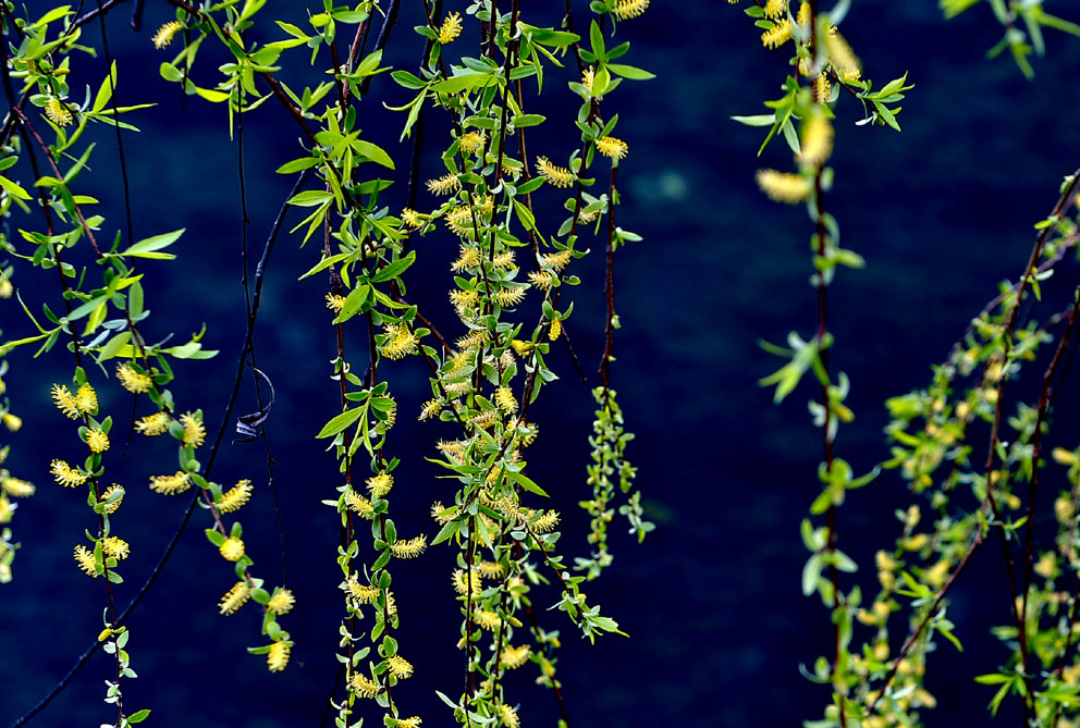 yjw_0616-1.jpg