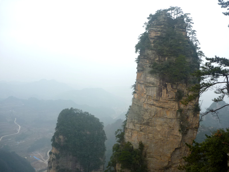 p1140443_.jpg
