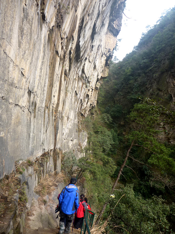 p1140451_.jpg