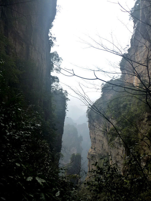 p1140452_.jpg