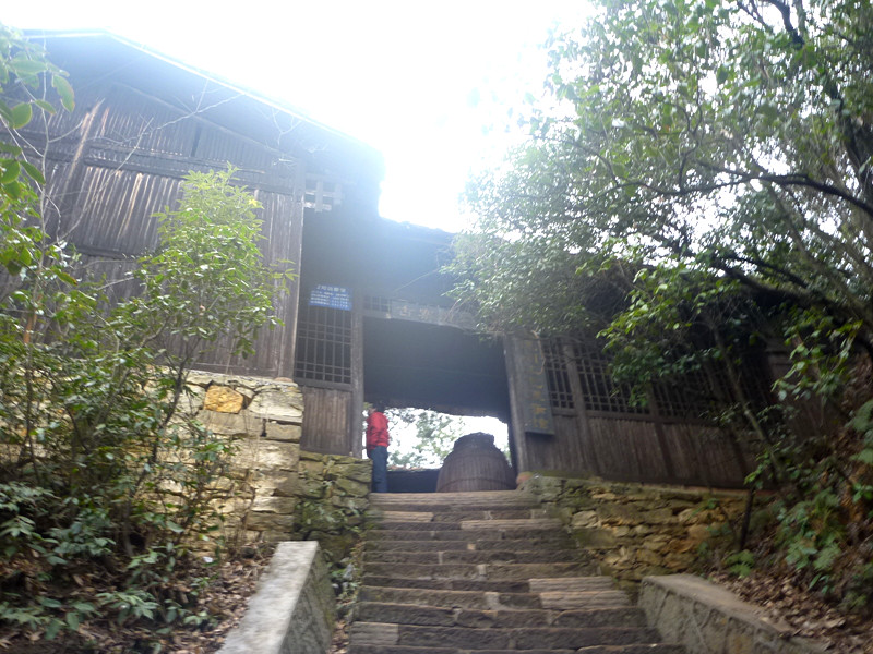 p1140462_.jpg