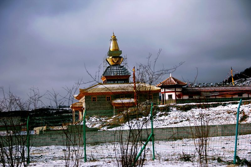 _mg_7228.jpg
