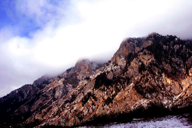 _mg_7184.jpg