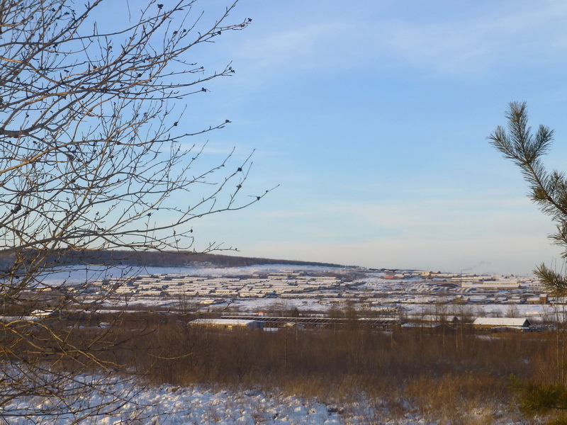 p1010783.jpg