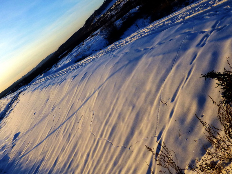 p1010787.jpg