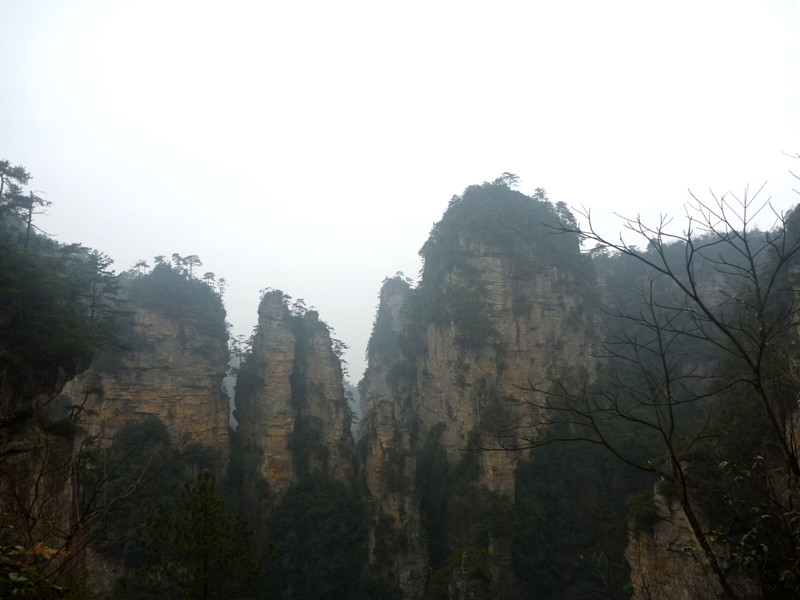 p1140411_.jpg