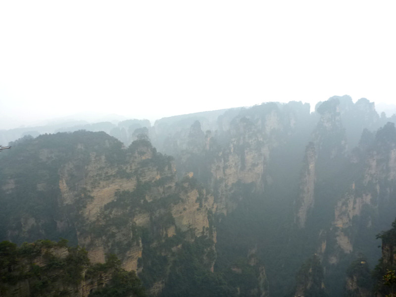p1140422_.jpg