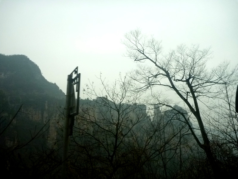 p1140480_.jpg