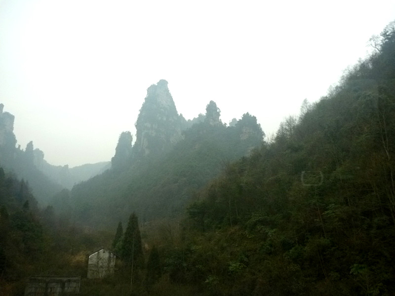 p1140487_.jpg