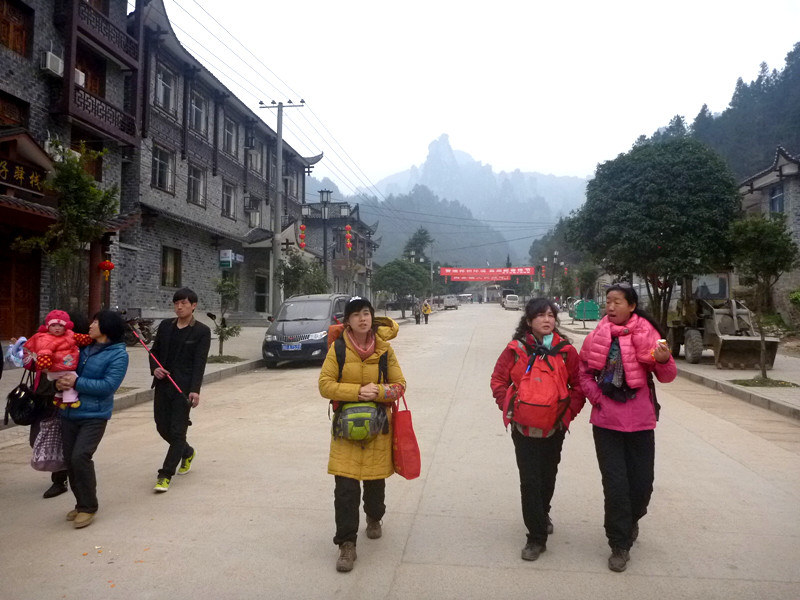 p1140488_.jpg