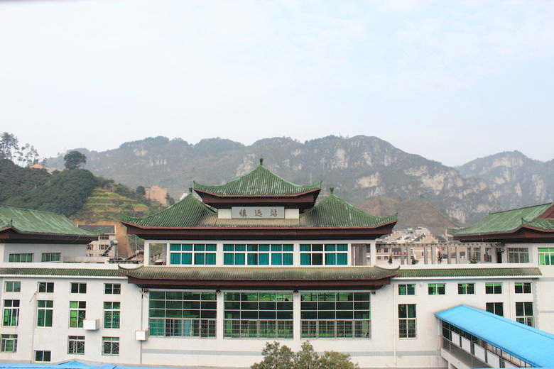 neo_img_img_0092.jpg