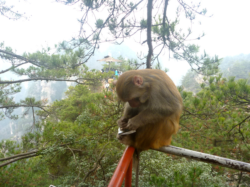 p1140469_.jpg