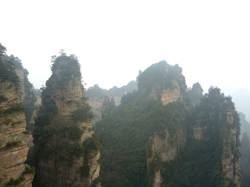 p1140471_.jpg