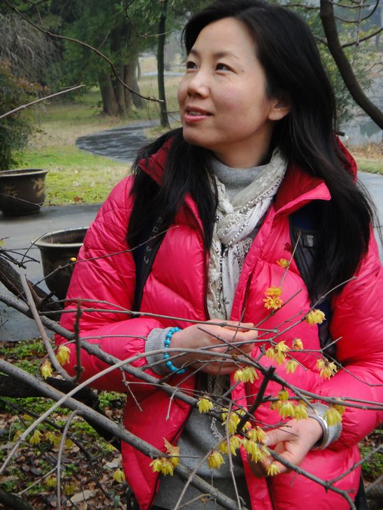 dsc08378.jpg
