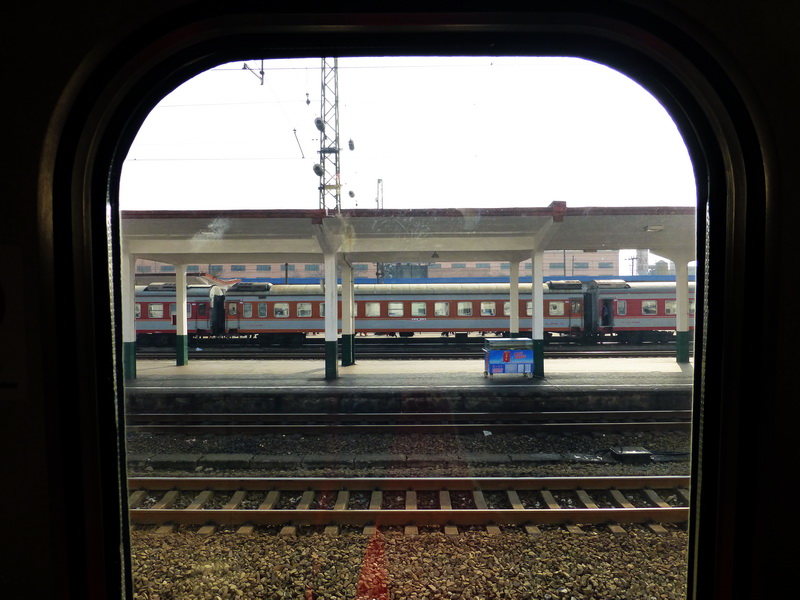 p1020938.jpg