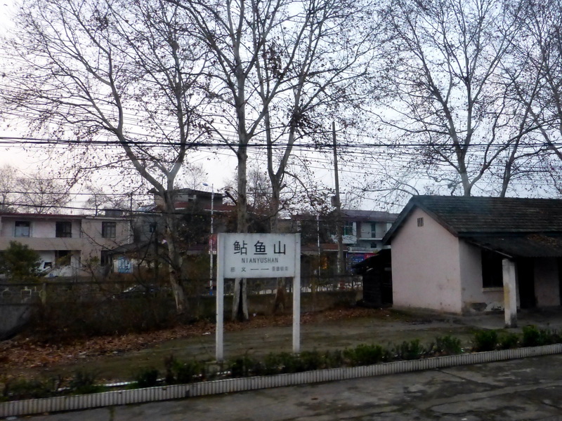 p1020947.jpg