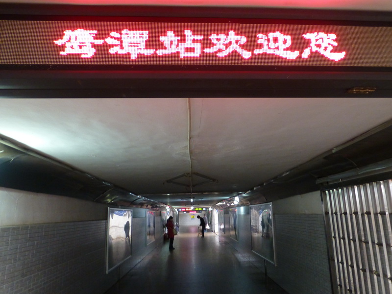 p1020939.jpg
