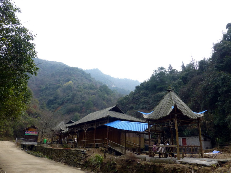 p1020977.jpg