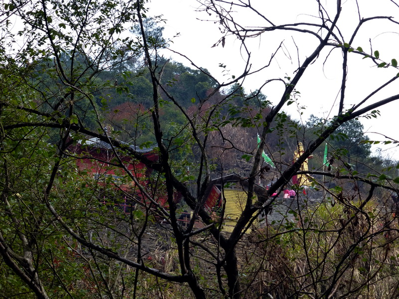 p1020986.jpg