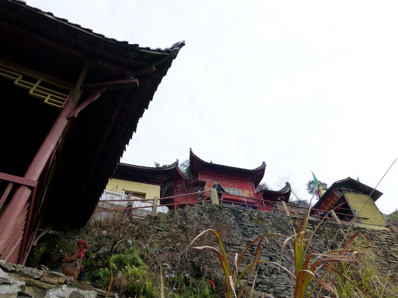 p1020989.jpg