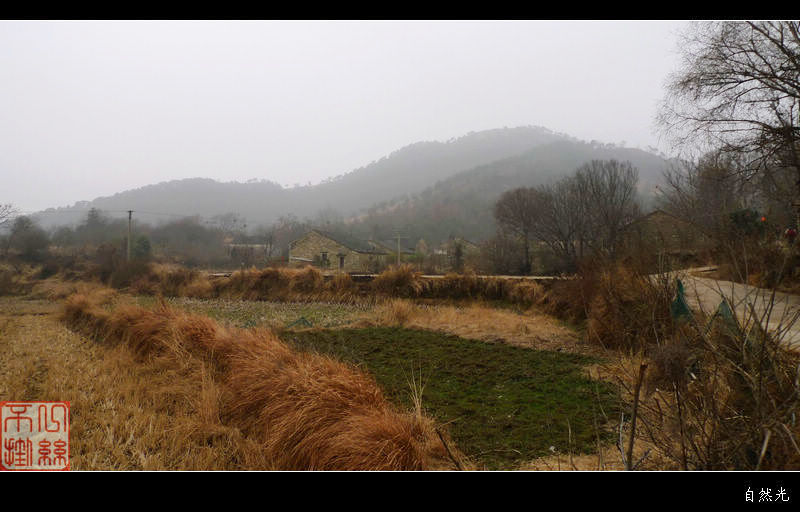 l1400991.jpg