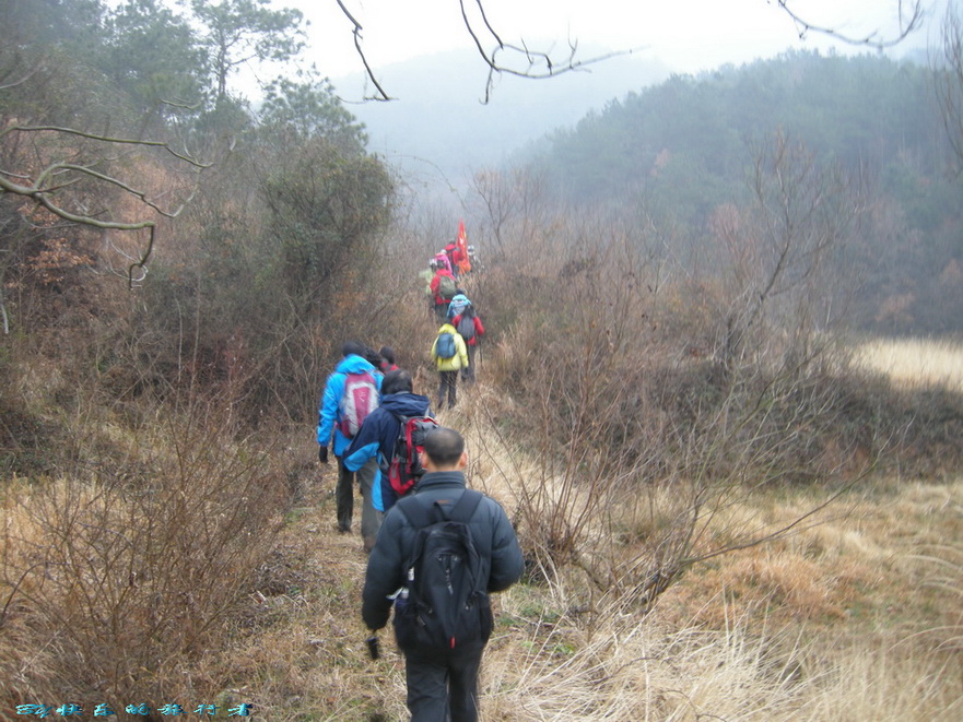 dscn7136.jpg