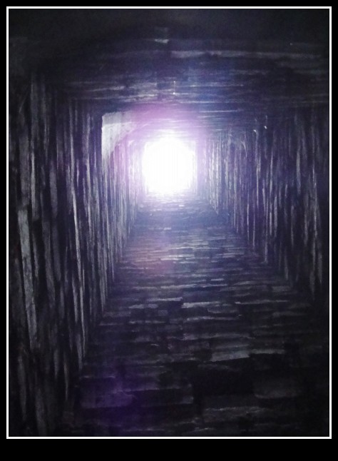 10_conew1.jpg