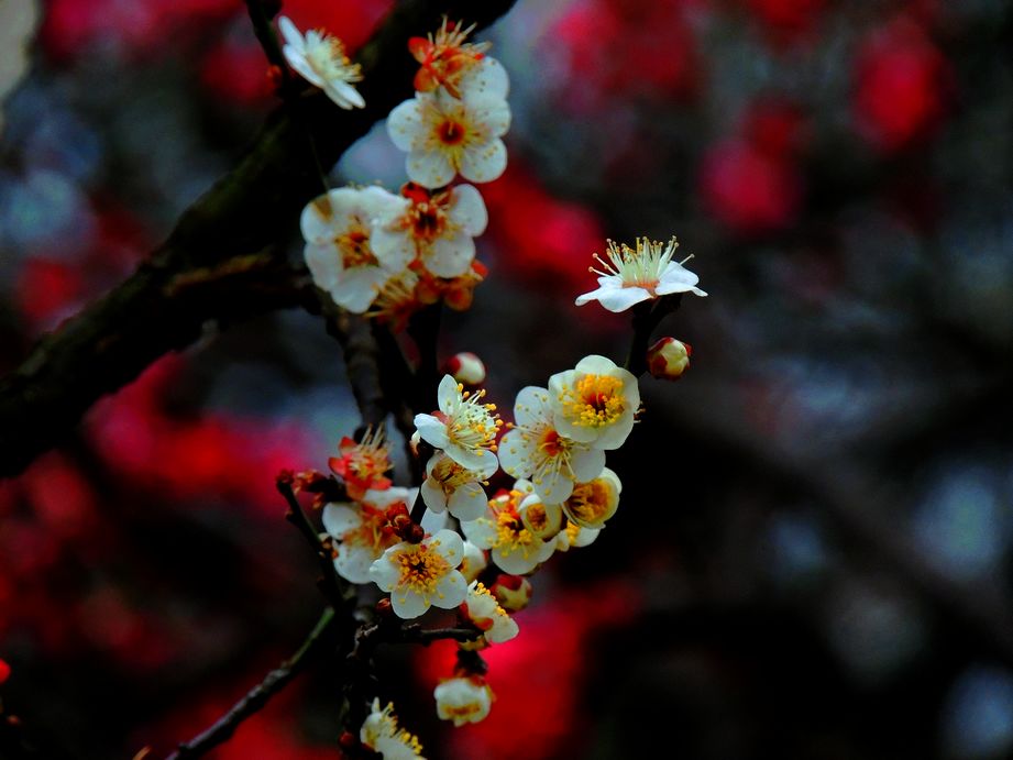dscn2183.jpg