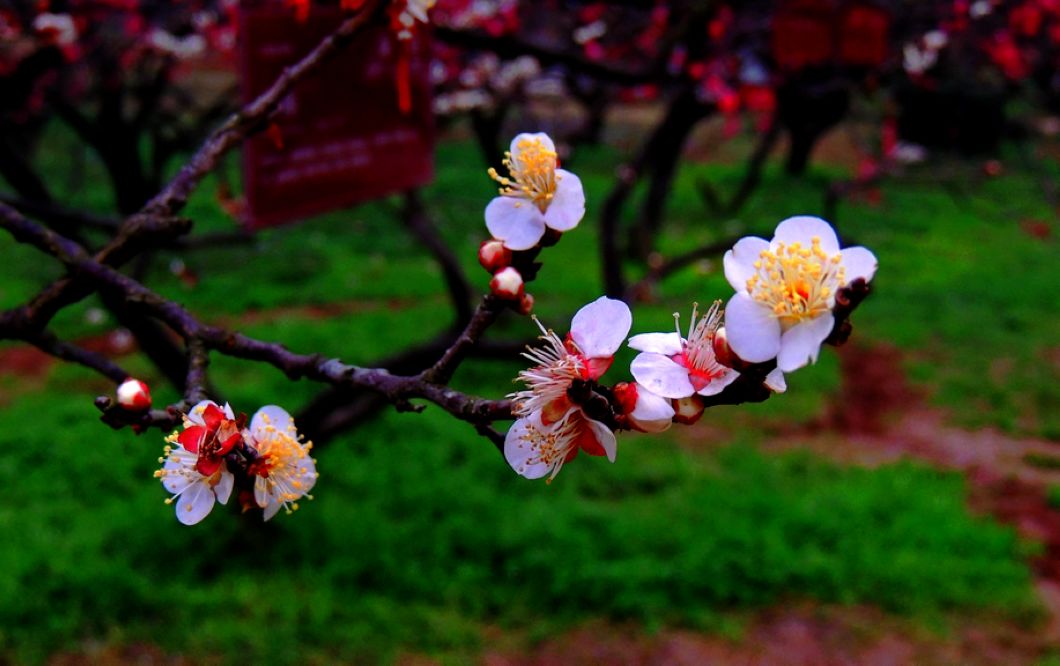 dscn2191.jpg