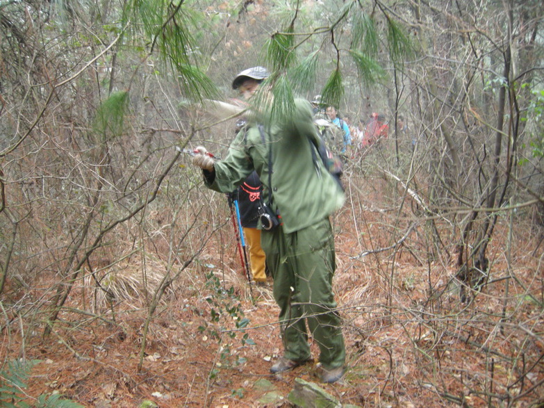 dscn7178.jpg
