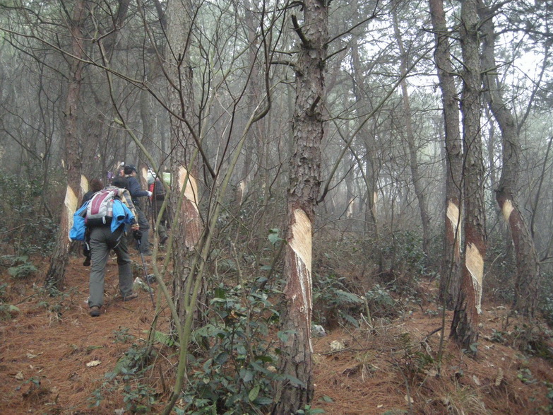 dscn7189.jpg