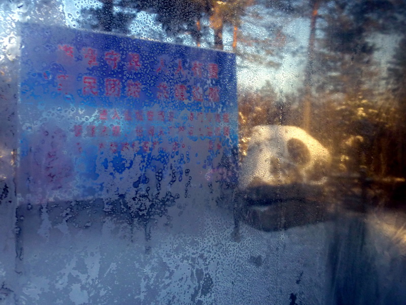 p1010689.jpg
