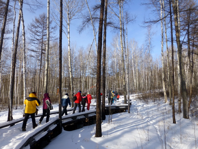 p1010697.jpg